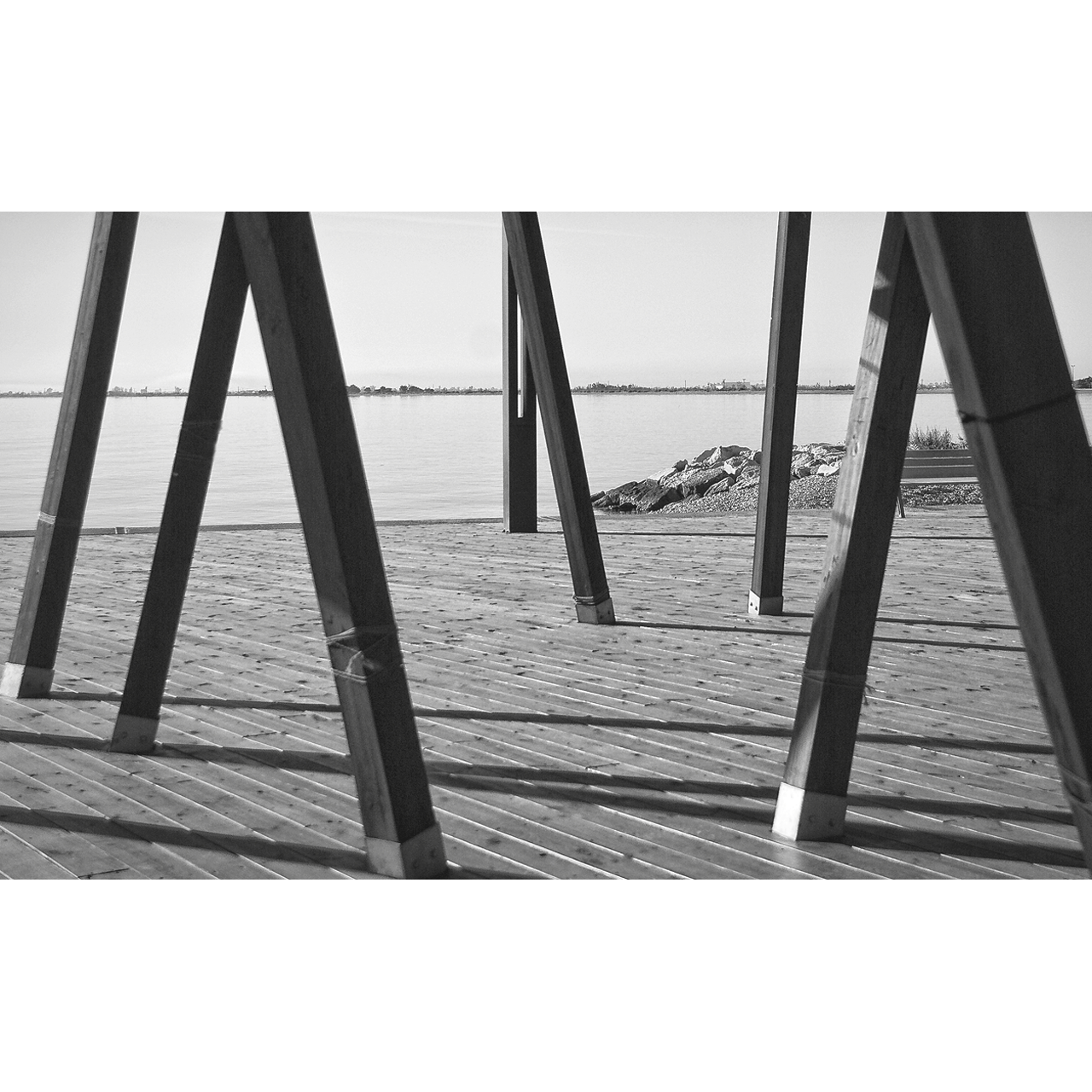 Enric Comellas. PALS