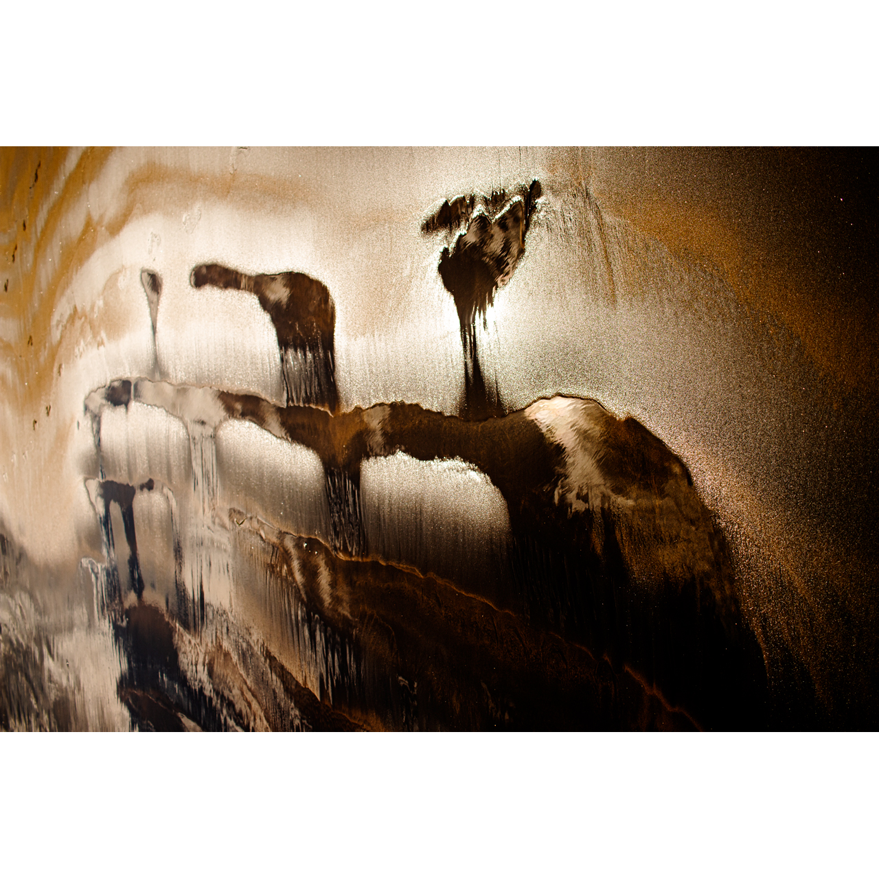 Miquel Calvet. EL MÉDANO