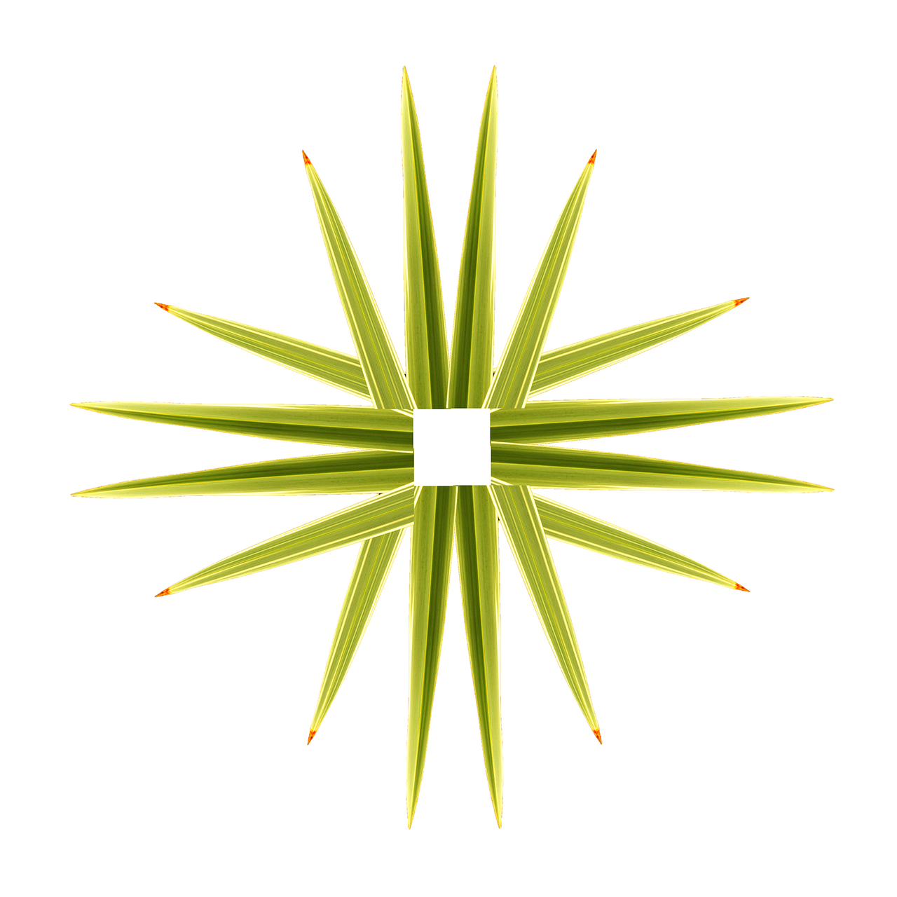 Gina Mateu. FANTASIA AMB FULLES