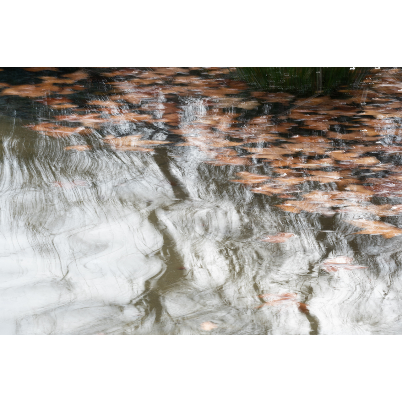 José Manuel Muriel. REFLEJOS