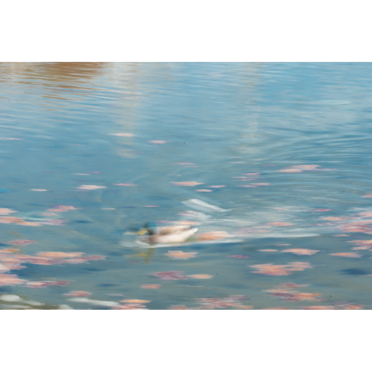 José Manuel Muriel. RELAJACIÓN