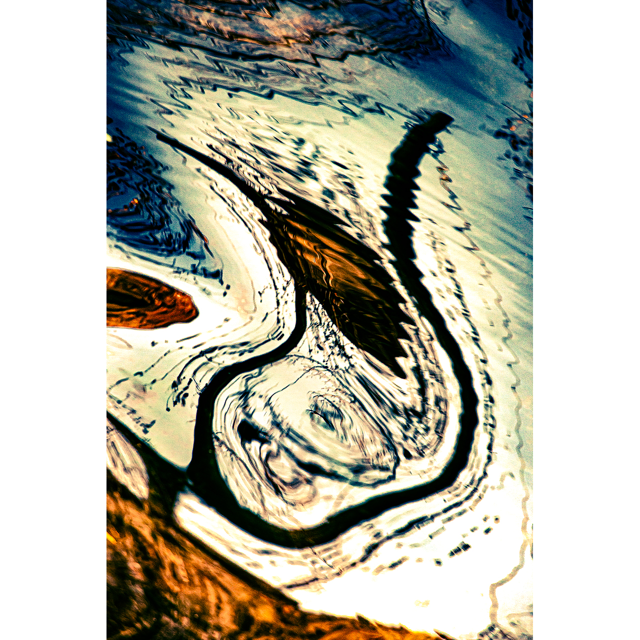 Miquel Calvet. SEGRE-231222-61