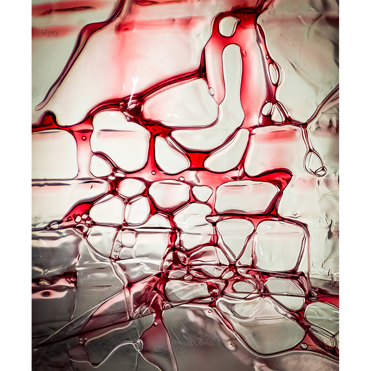 Lluís Carazo. ELS SOMNIS DEL DÉU BACO