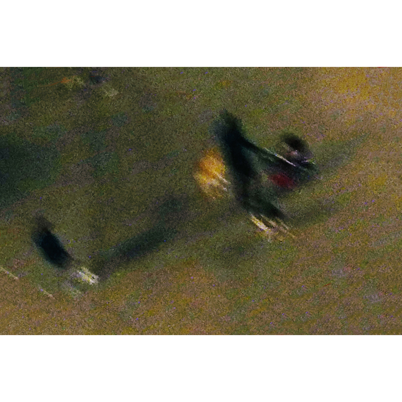 Rosa Martí. PASSEJANT