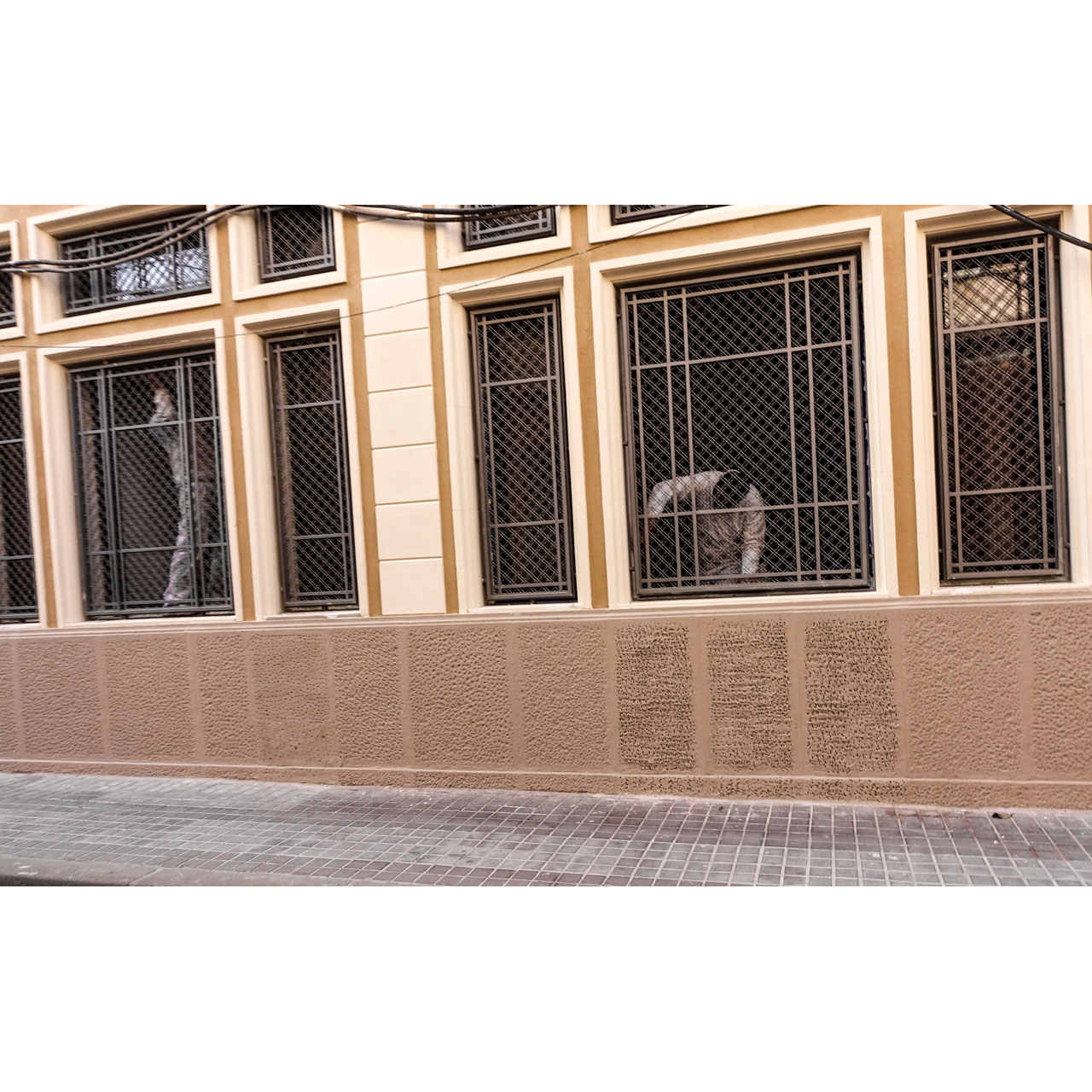 Joan Carles Ballester. TREBALL EN EQUIP