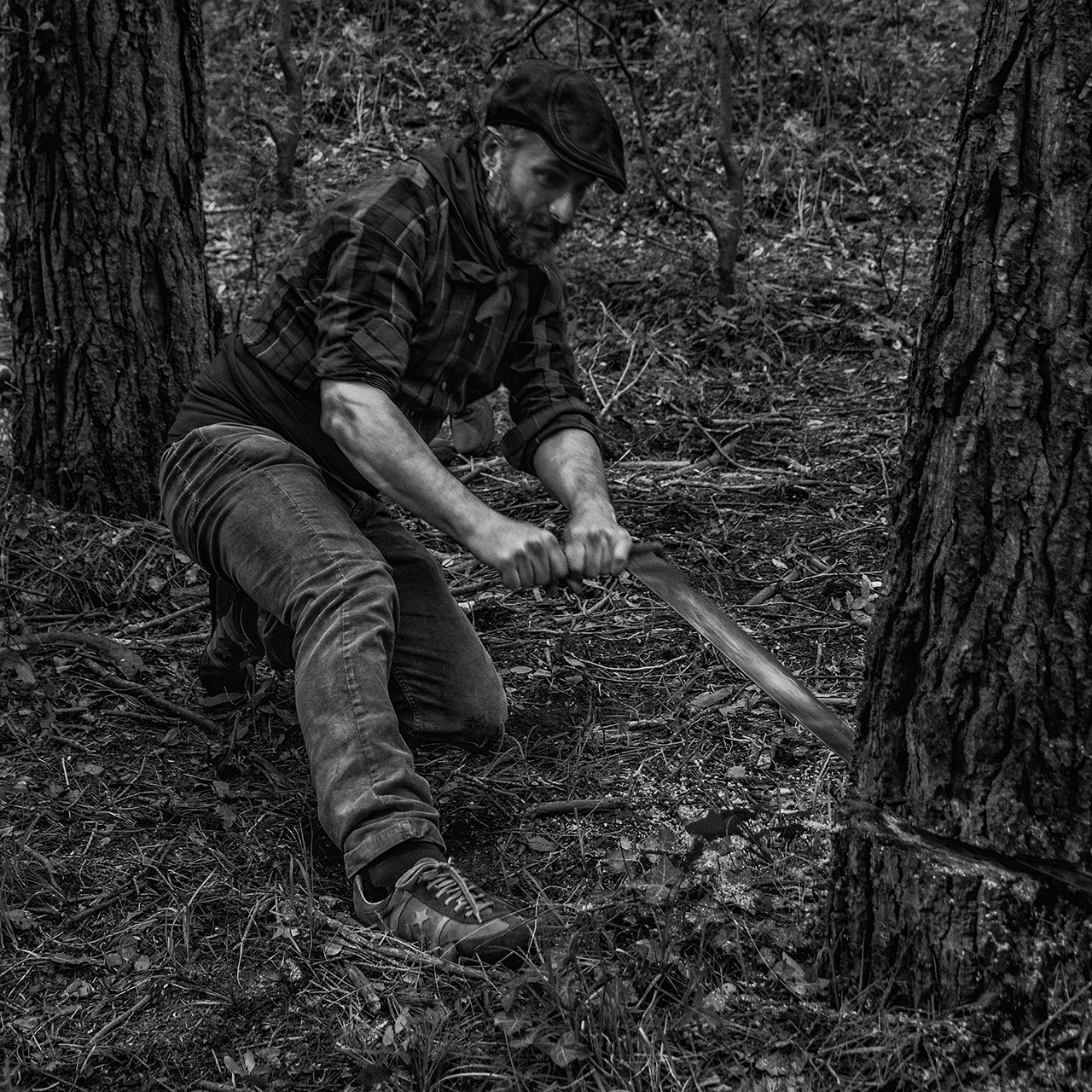 Laura Pascual. LLENYATAIRE