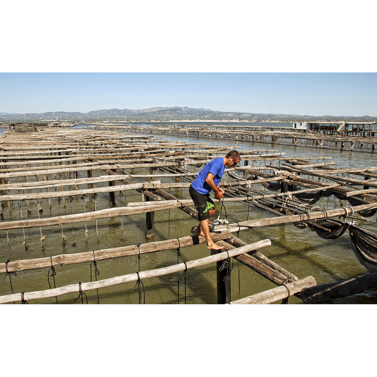 Enric Comellas. MUSCLERES