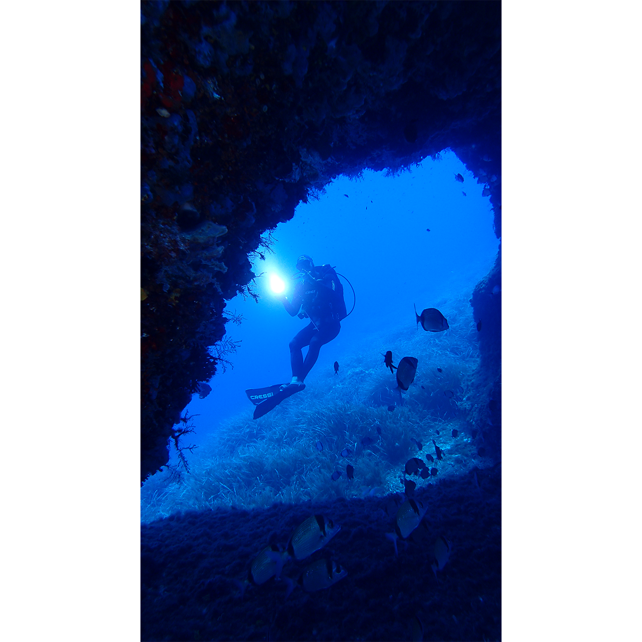 Concepció Pastor. INSTRUCTOR DE BUSSEIG