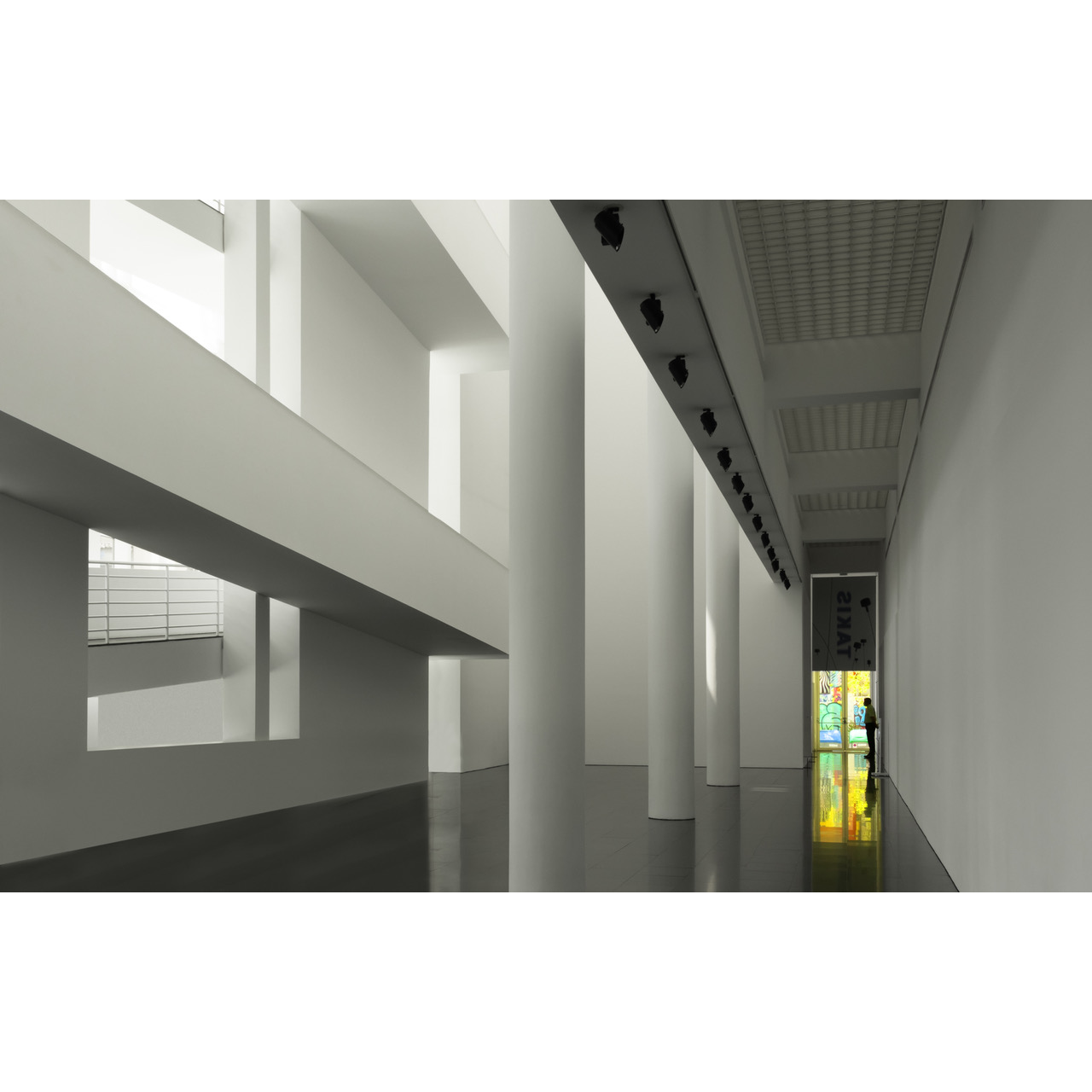 Rosa Colomé. VIGILANT