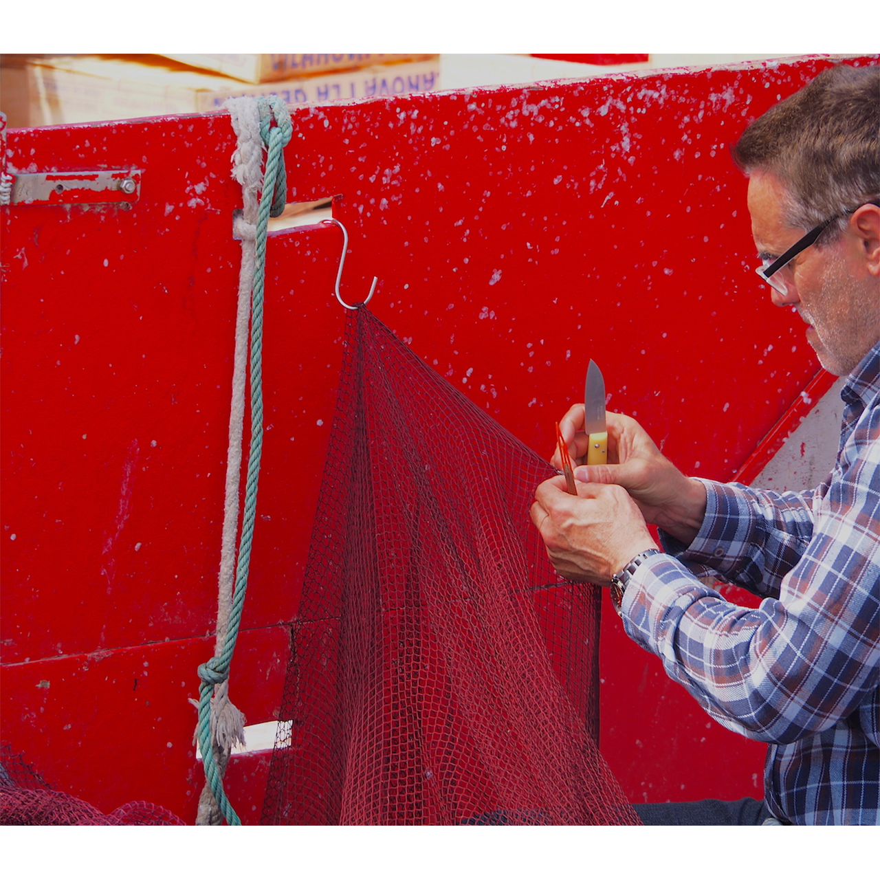 Rosa MArtí. SORGIDOR