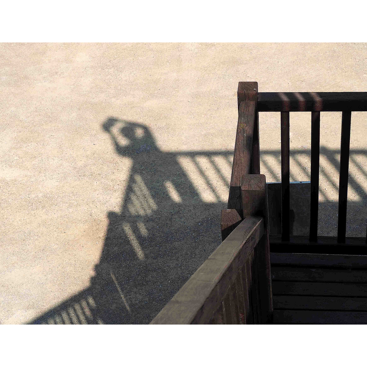 Mercè Casadellà. DELTA DE L'EBRE