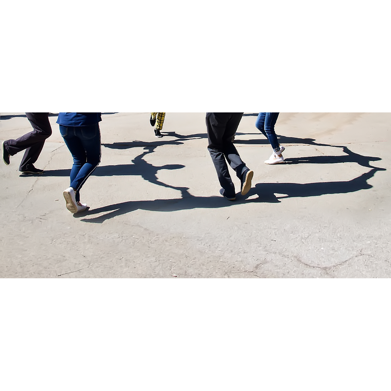 Josep Mòdol. SARDANES