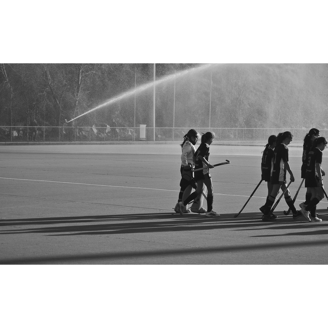 Enric Comellas. HOQUEI