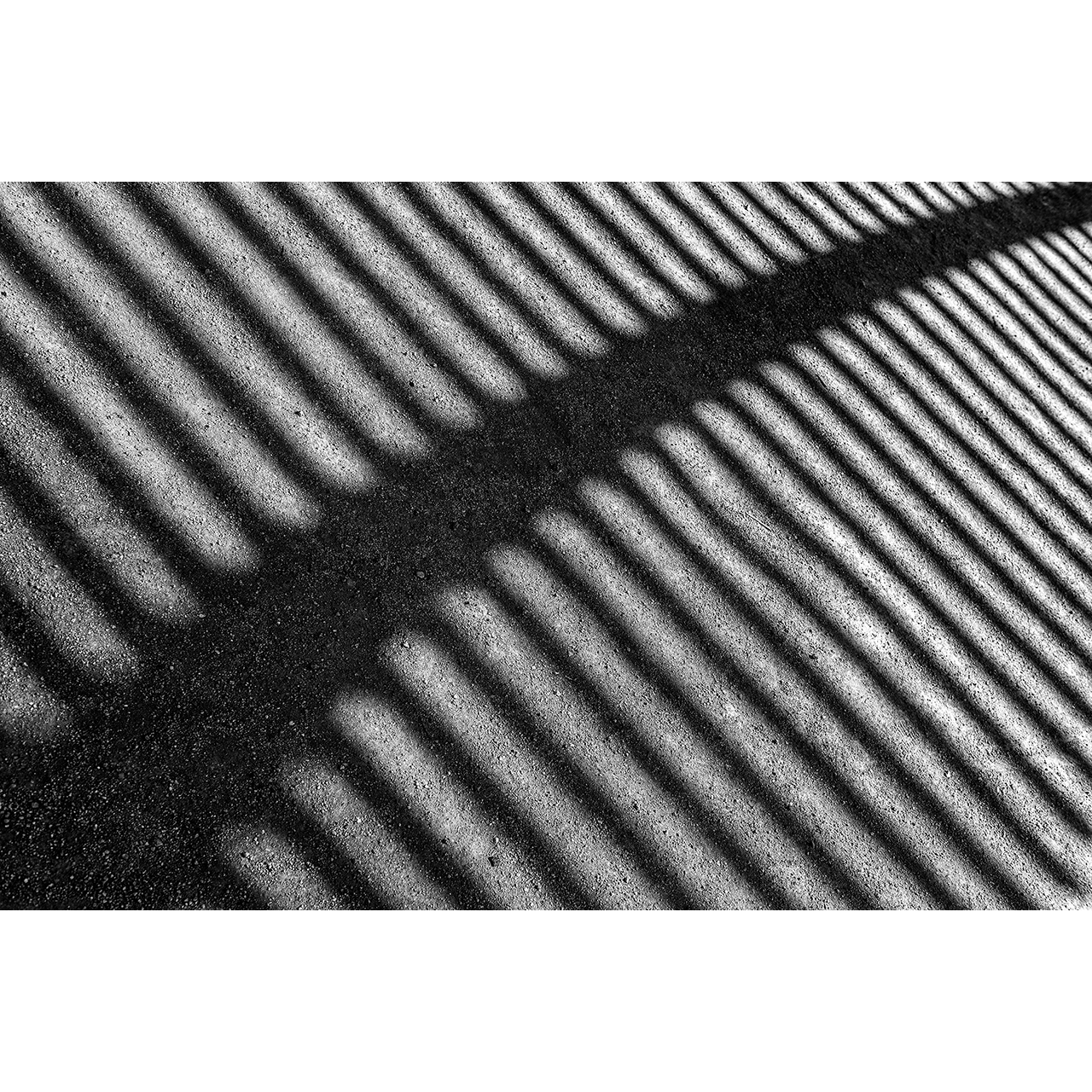 Jaume Millan. ESPINADA