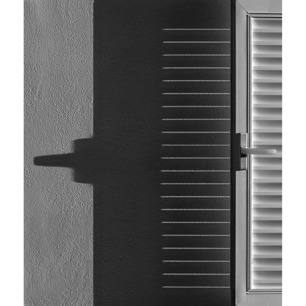 Joan Rosell. PORTICÓ