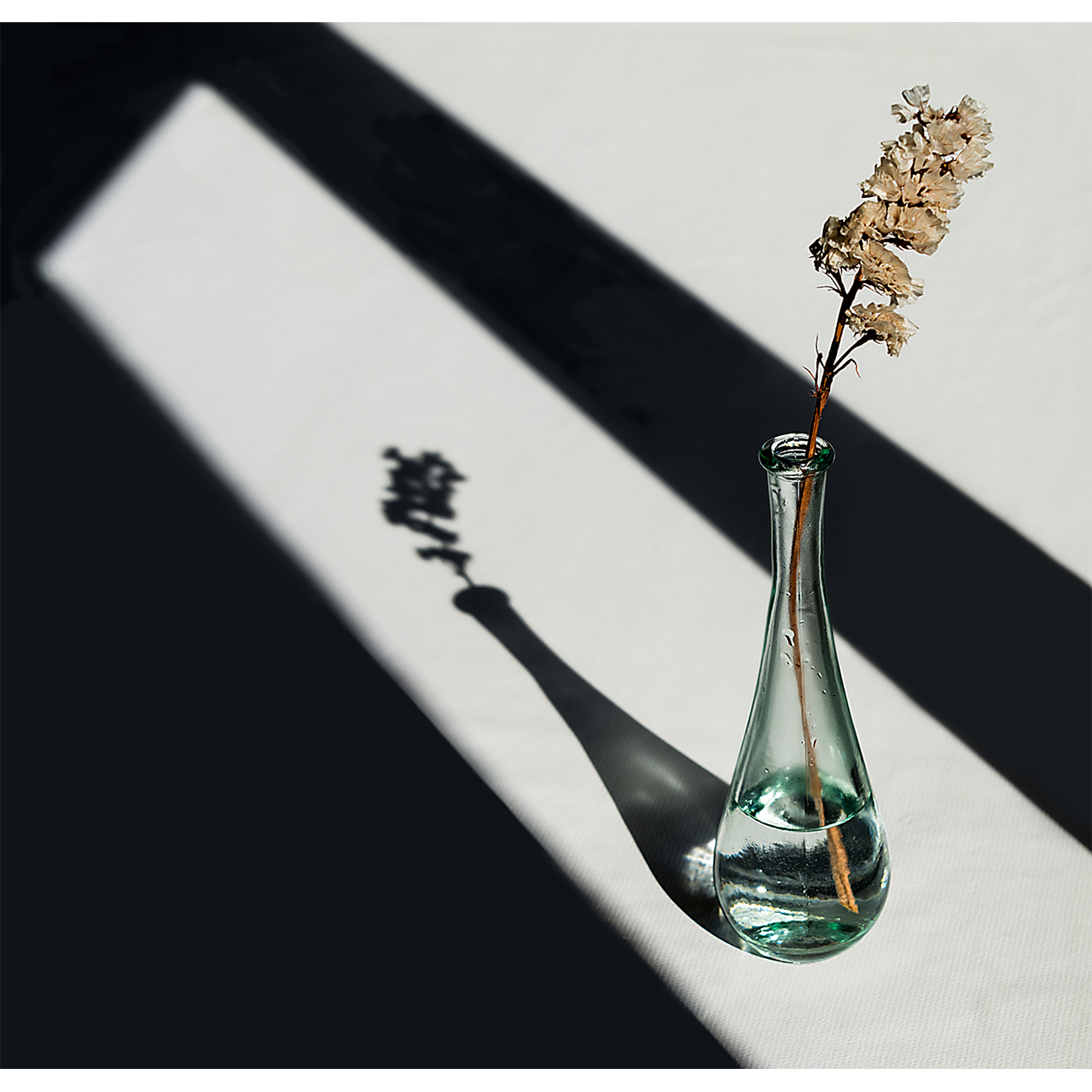 Antònio López. LA FORÇA DE L'OMBRA