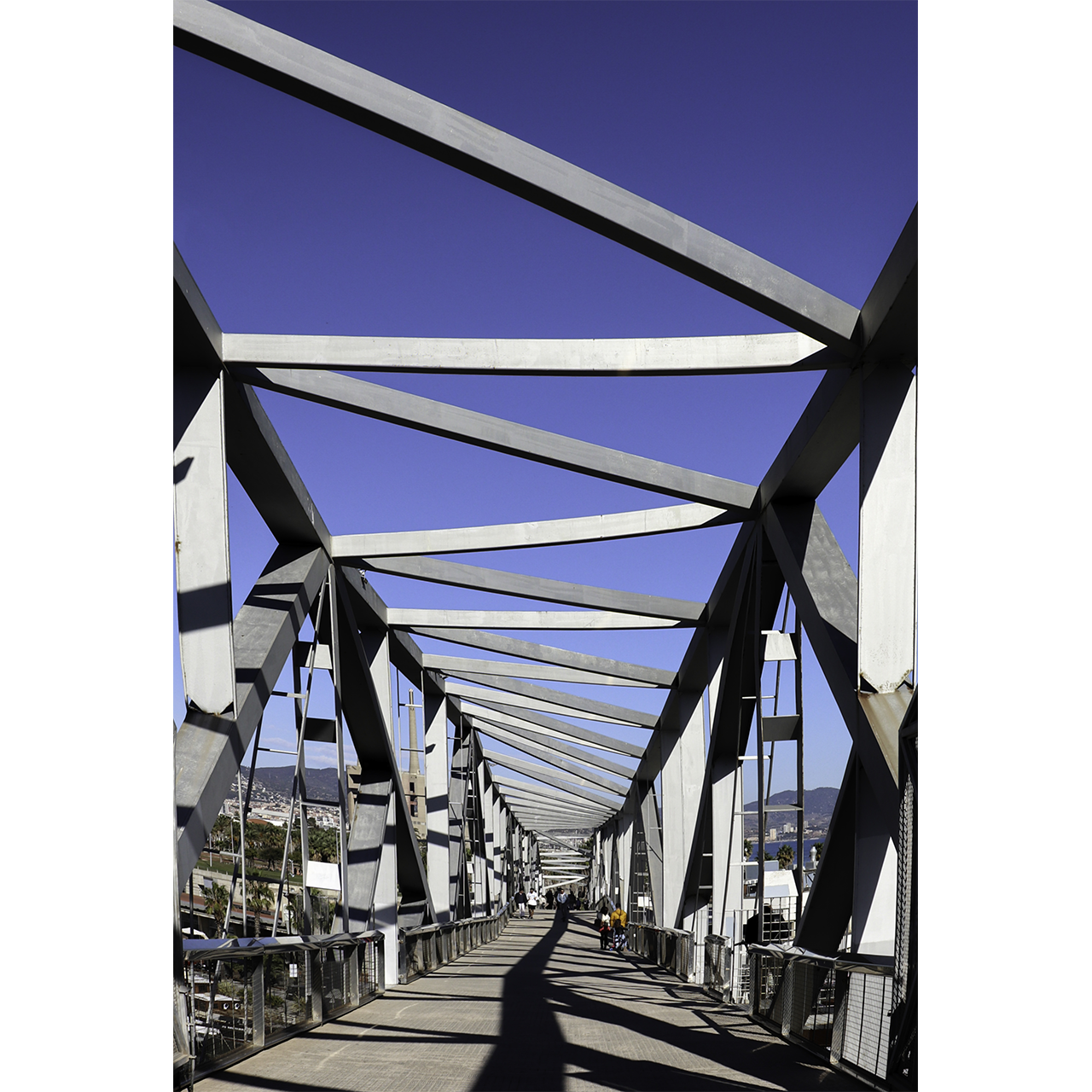 Rosa Colomé. PONT-042