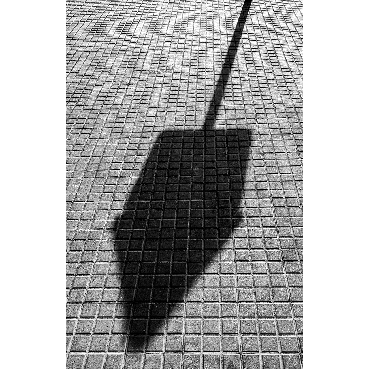 Jaume Millan. SENYAL