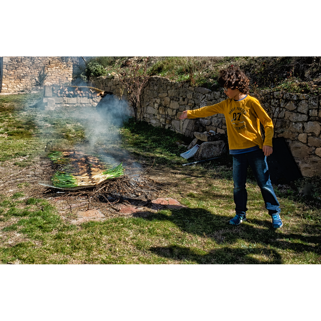 Francesc Graells. OMBRES 044