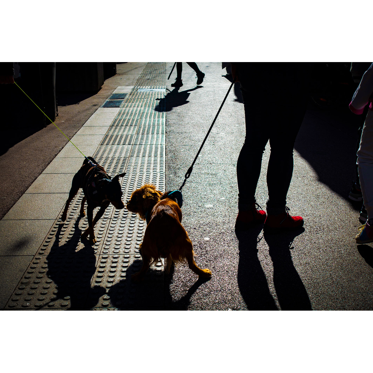 Joan Carles Ballester. OMBRES TROBADES
