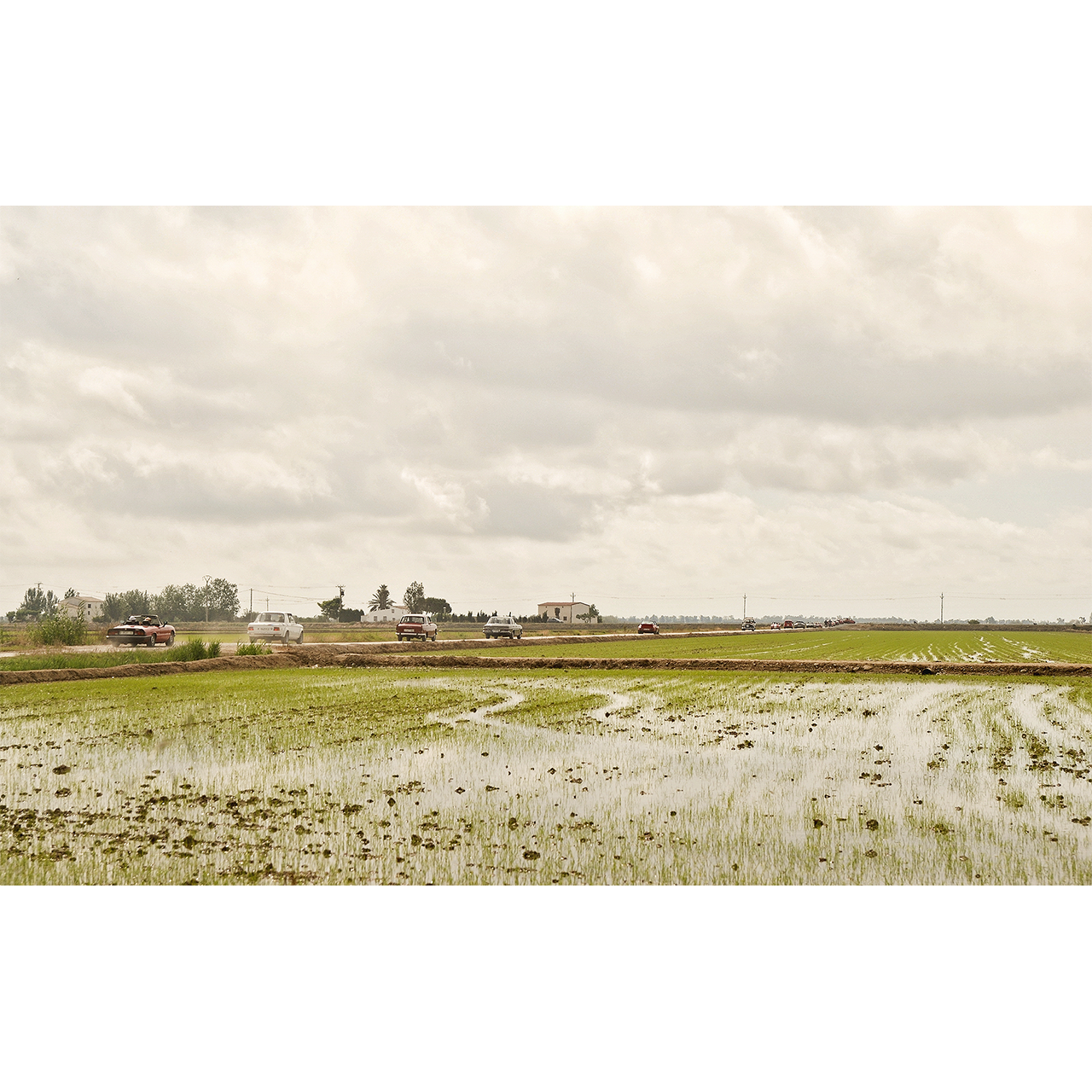 Enric Comellas. COTXES I ARROSSARS