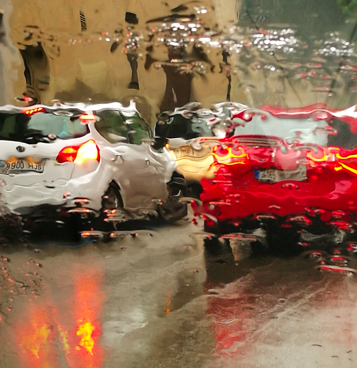 Rosa Colomé. DIES DE PLUJA