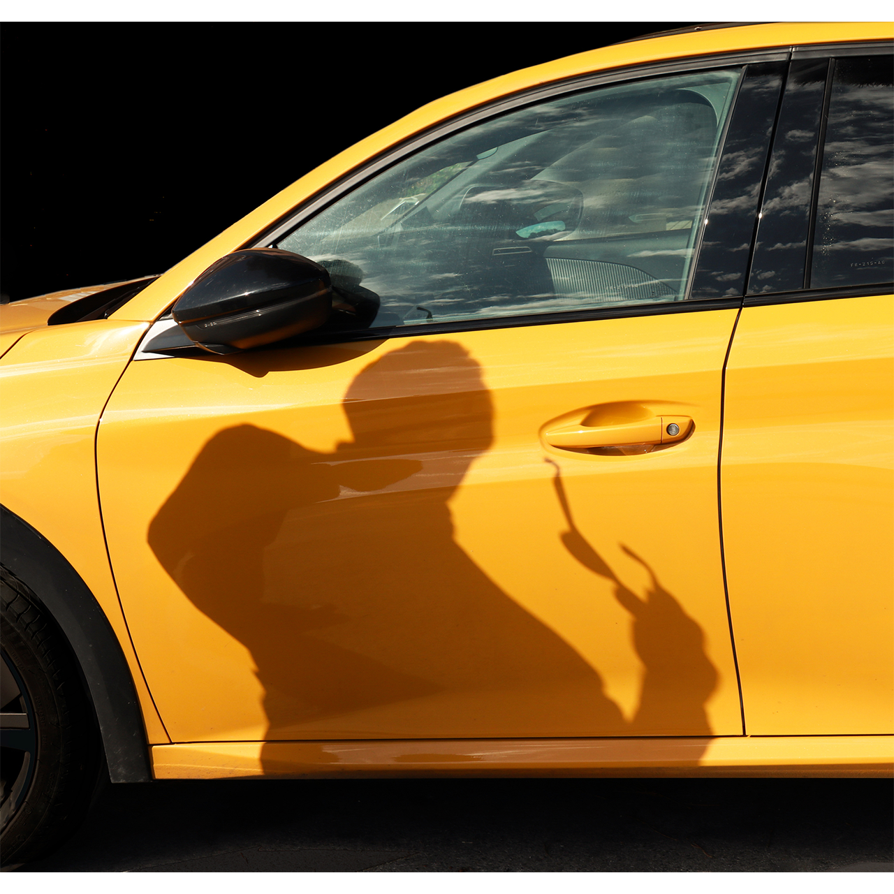 Rosa Colomé. FANTASMET