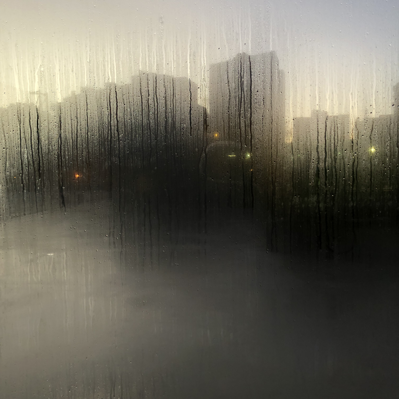 Fernando García.MUESTRA 012