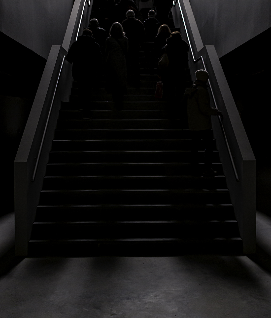 Miquel Calvet. CAP A LA LLUM