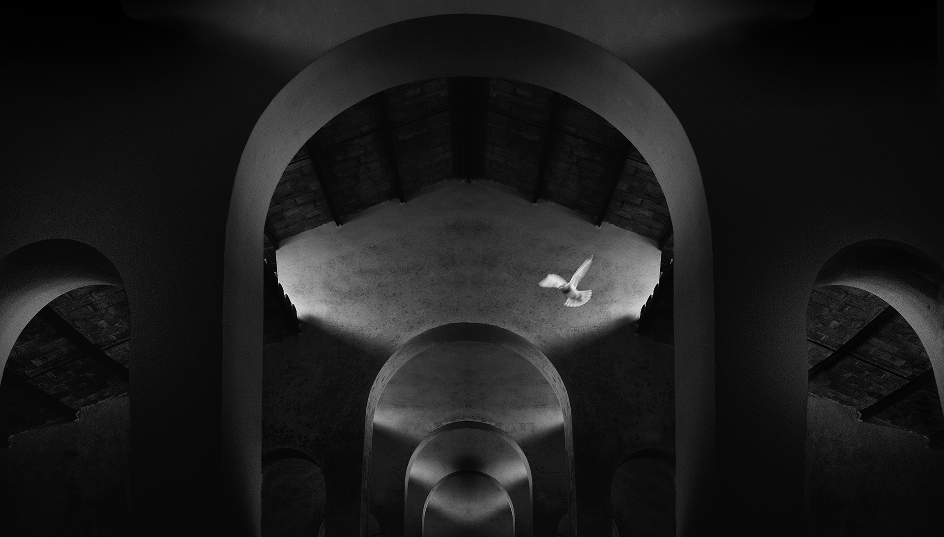 Rosa Colomé. CAVA ROVELLATS