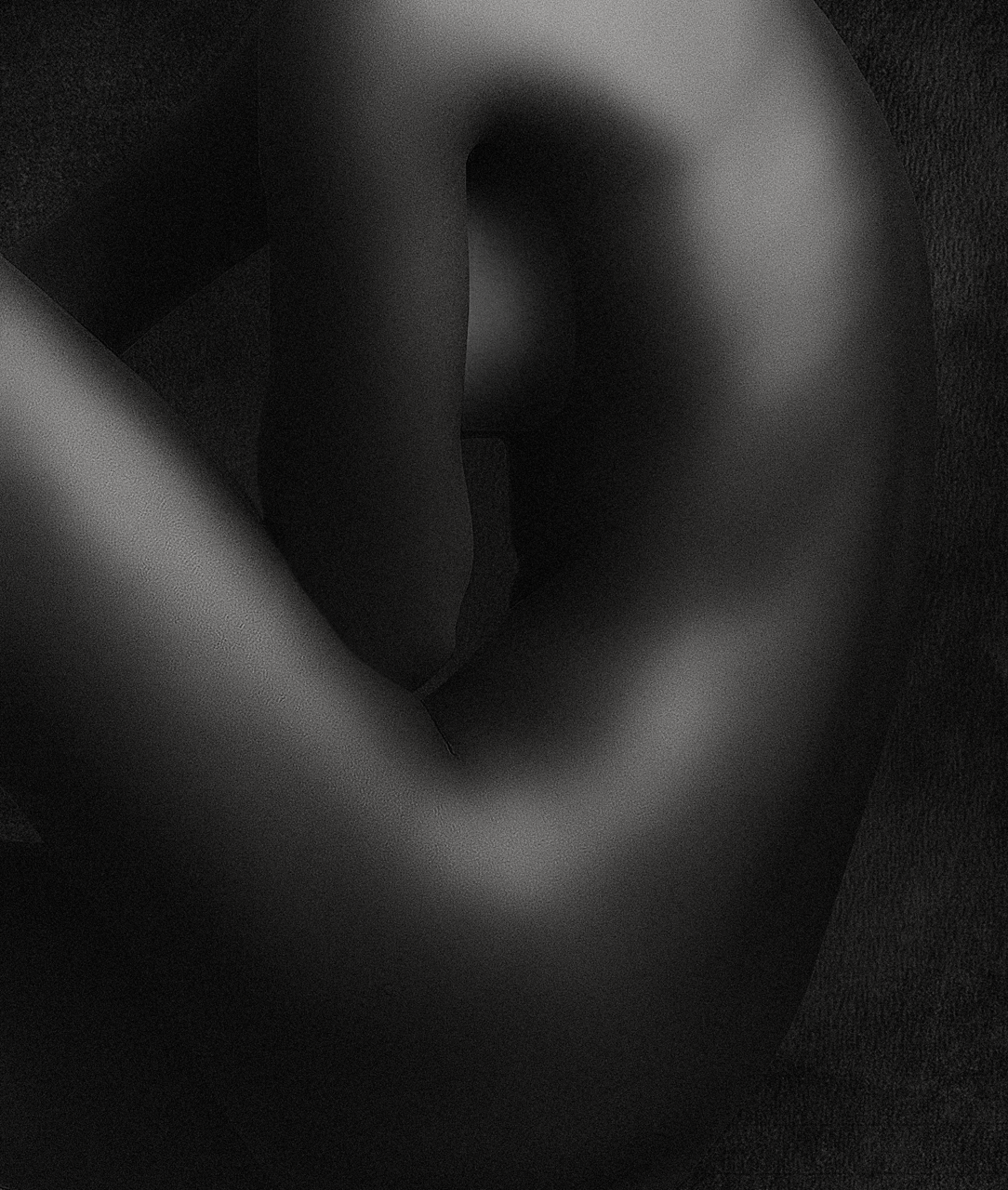 Laura Pascual. COS HUMÀ