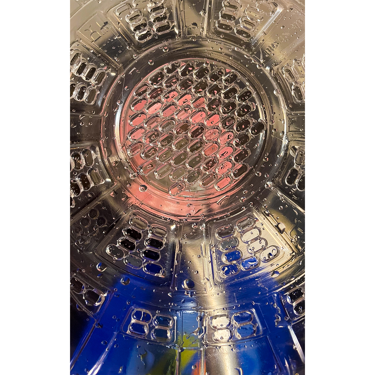 Anna Martí. LUMINARI CATEDRALICI