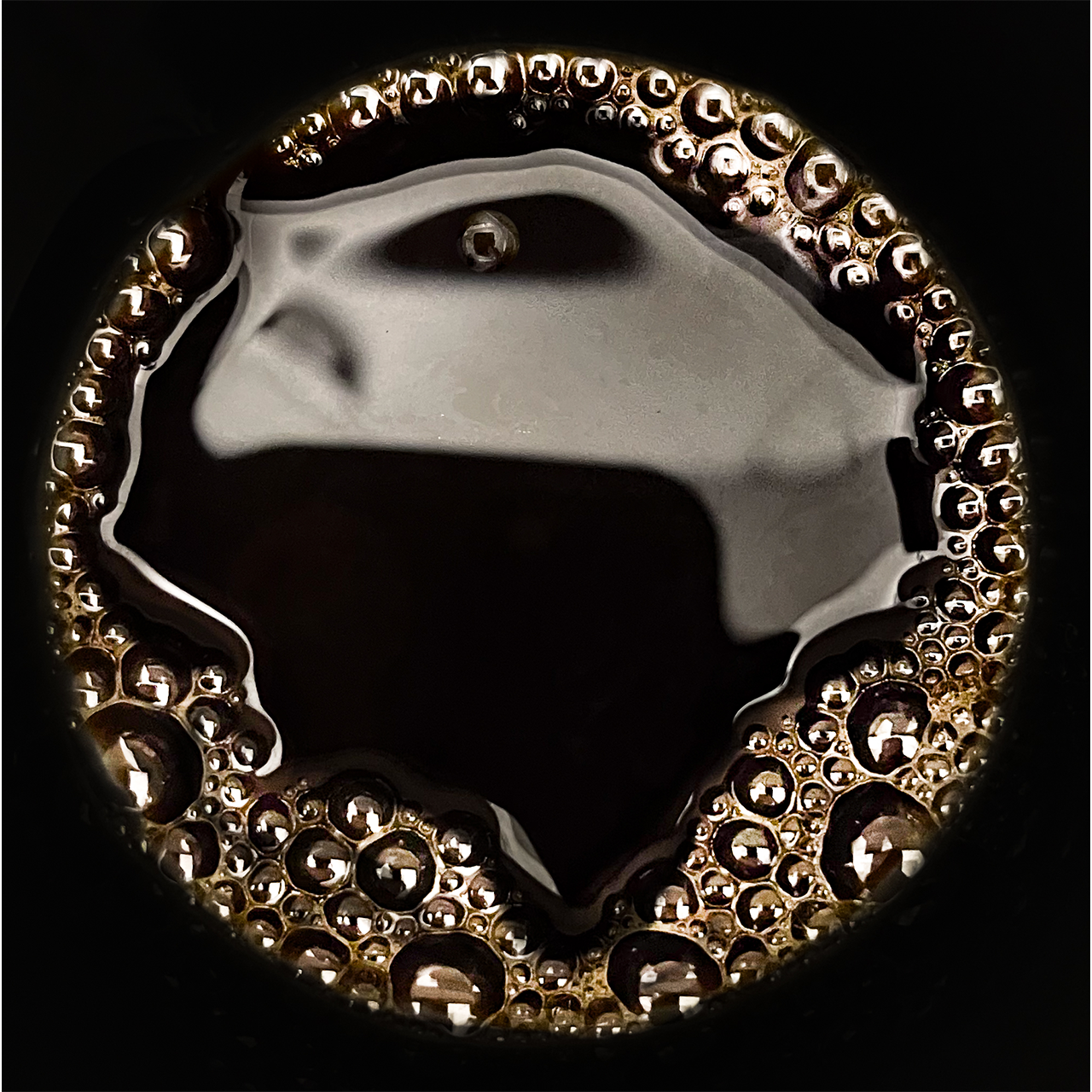 Lluís Carazo. LA CORONA DEL FANTASMA