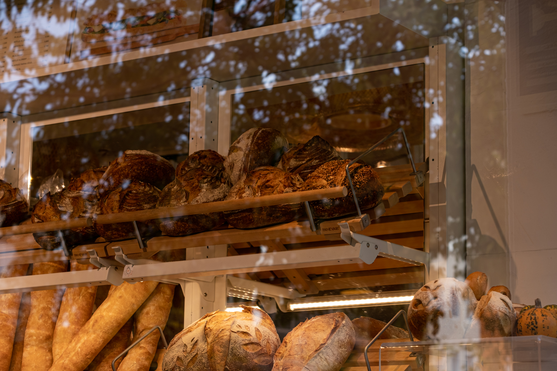 Montserrat Saña. PA