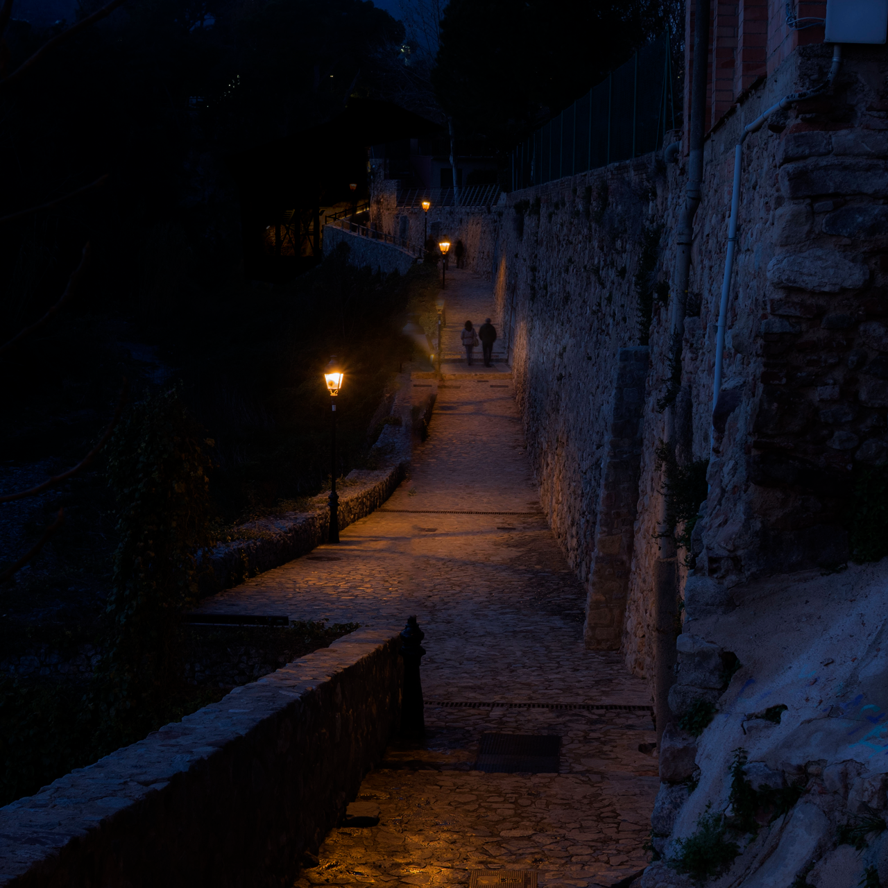 Francesc Graells. PASSEIG DEL RIU