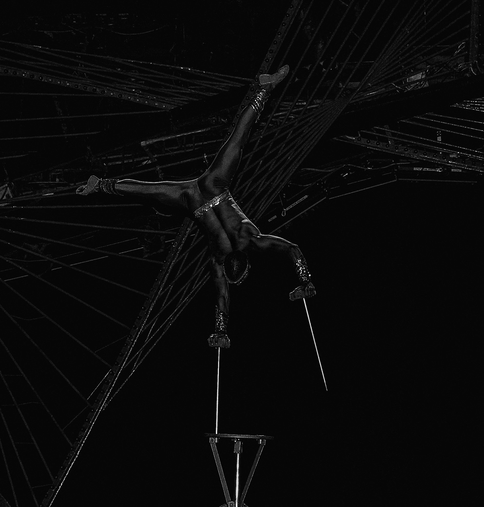 Joan Maria Rubió: TROPICANA 4