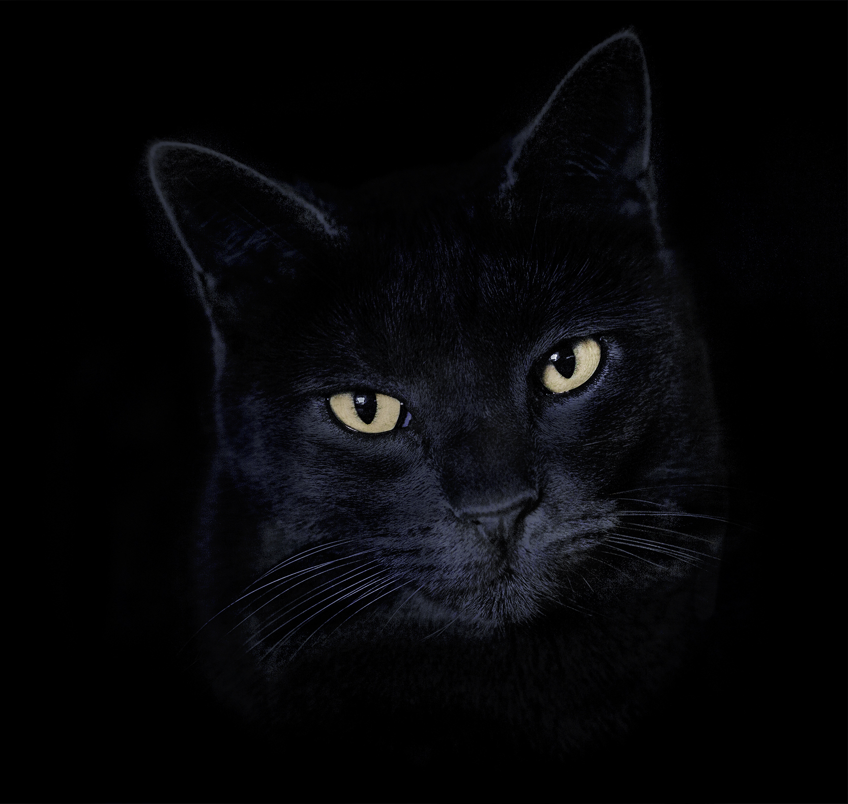 Antoni Lopez Comas.PINTXO