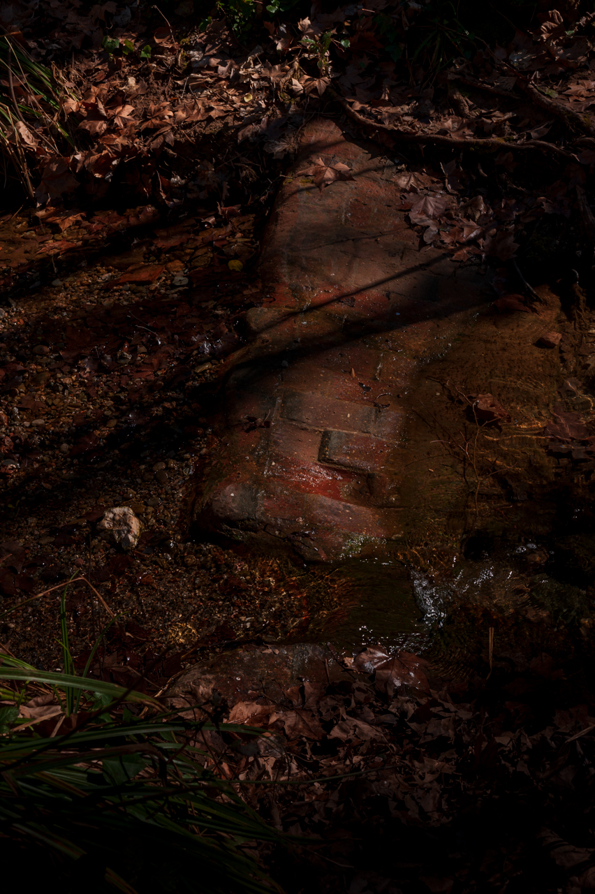 Montse Saña. FONS DE RIU AMB MUR