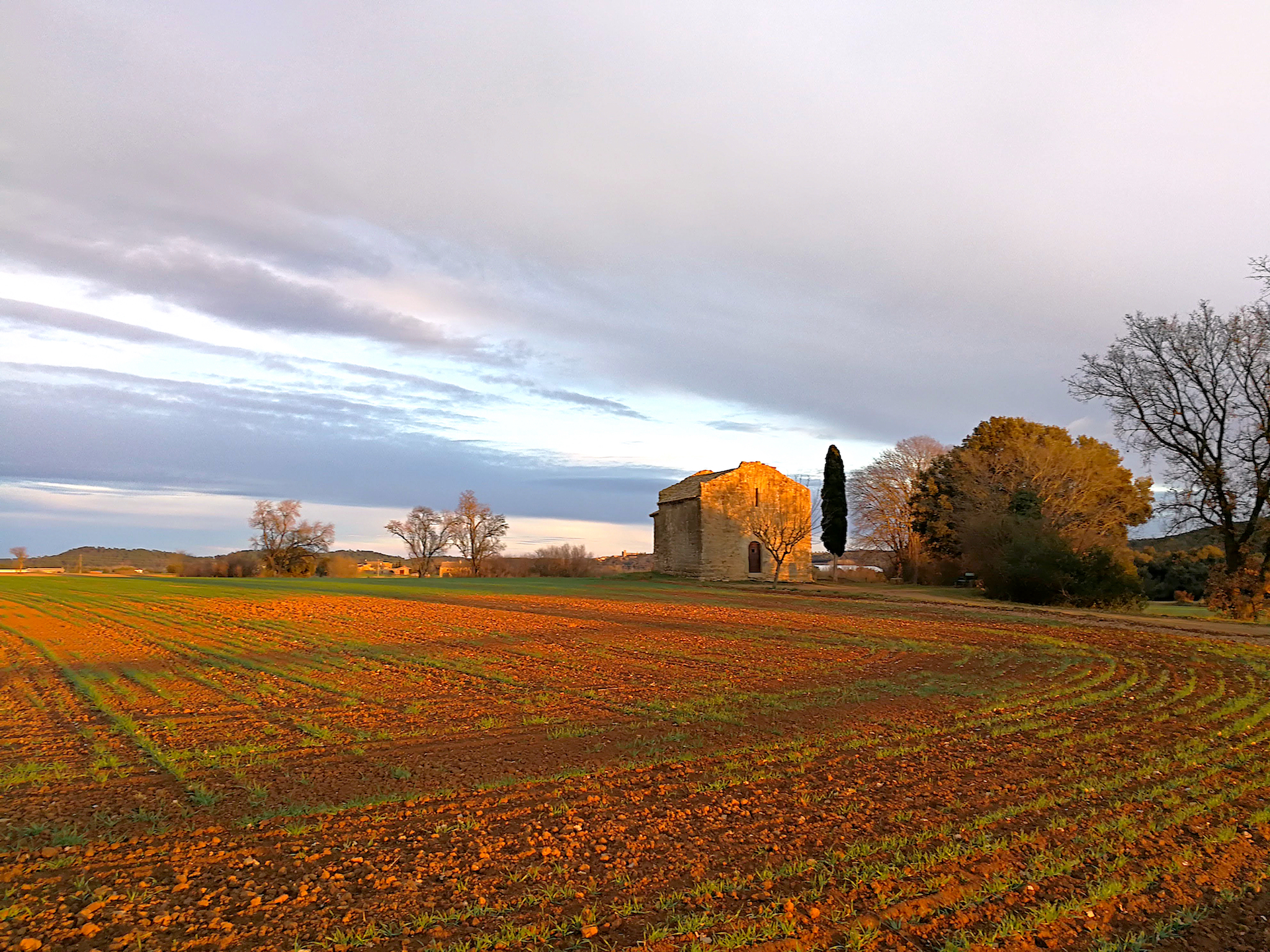 Rosa Martí. COLORS DE CAPVESPRE