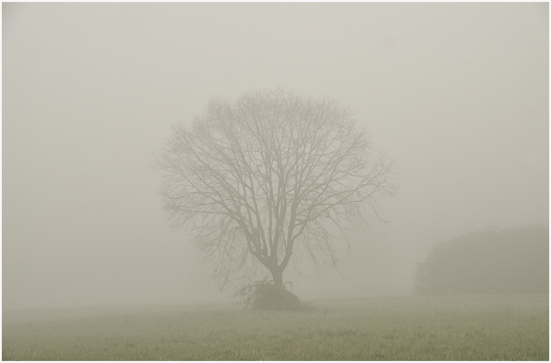 Eric Comellas. BOIRA MATINERA