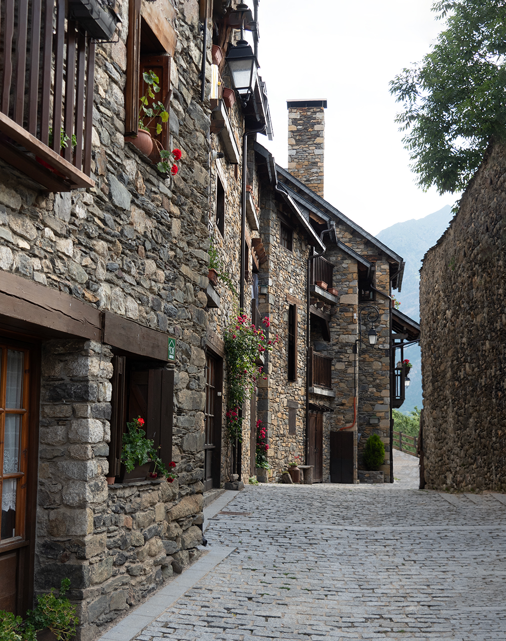 Francesc Graells. TAULL