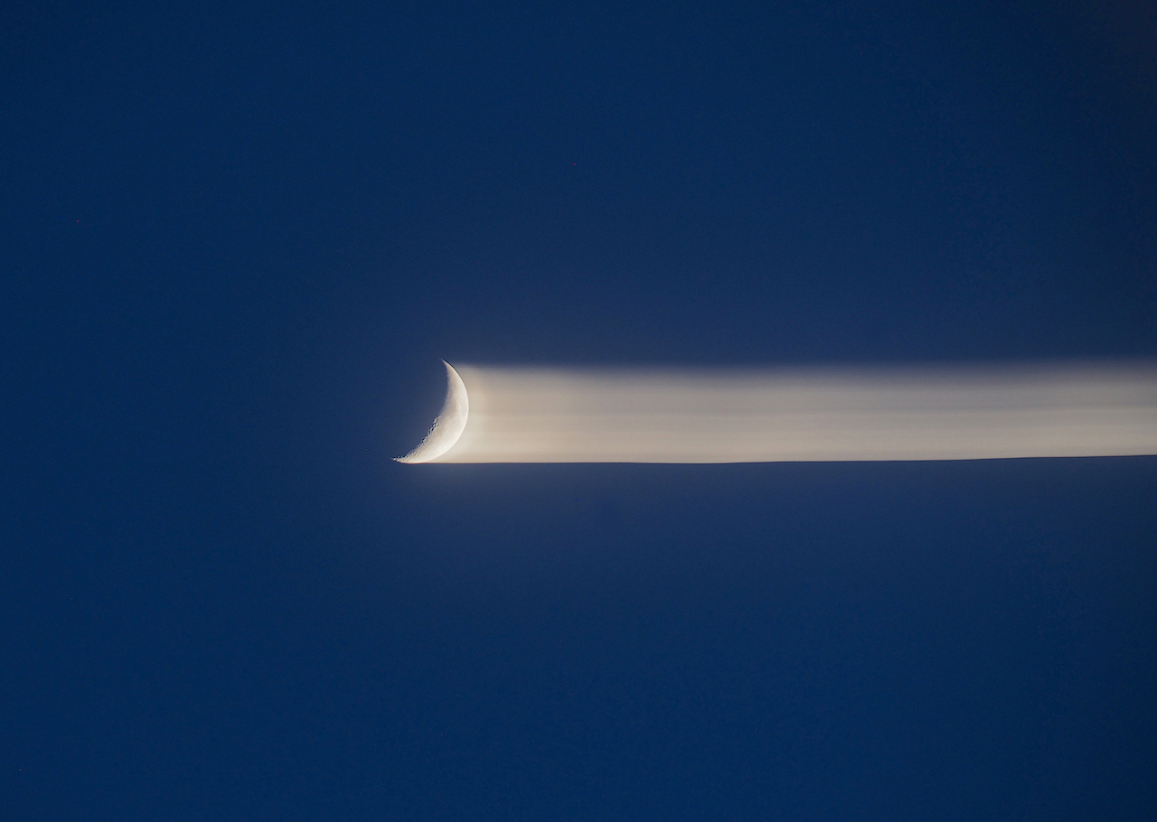 Merce Casadella. ADEU