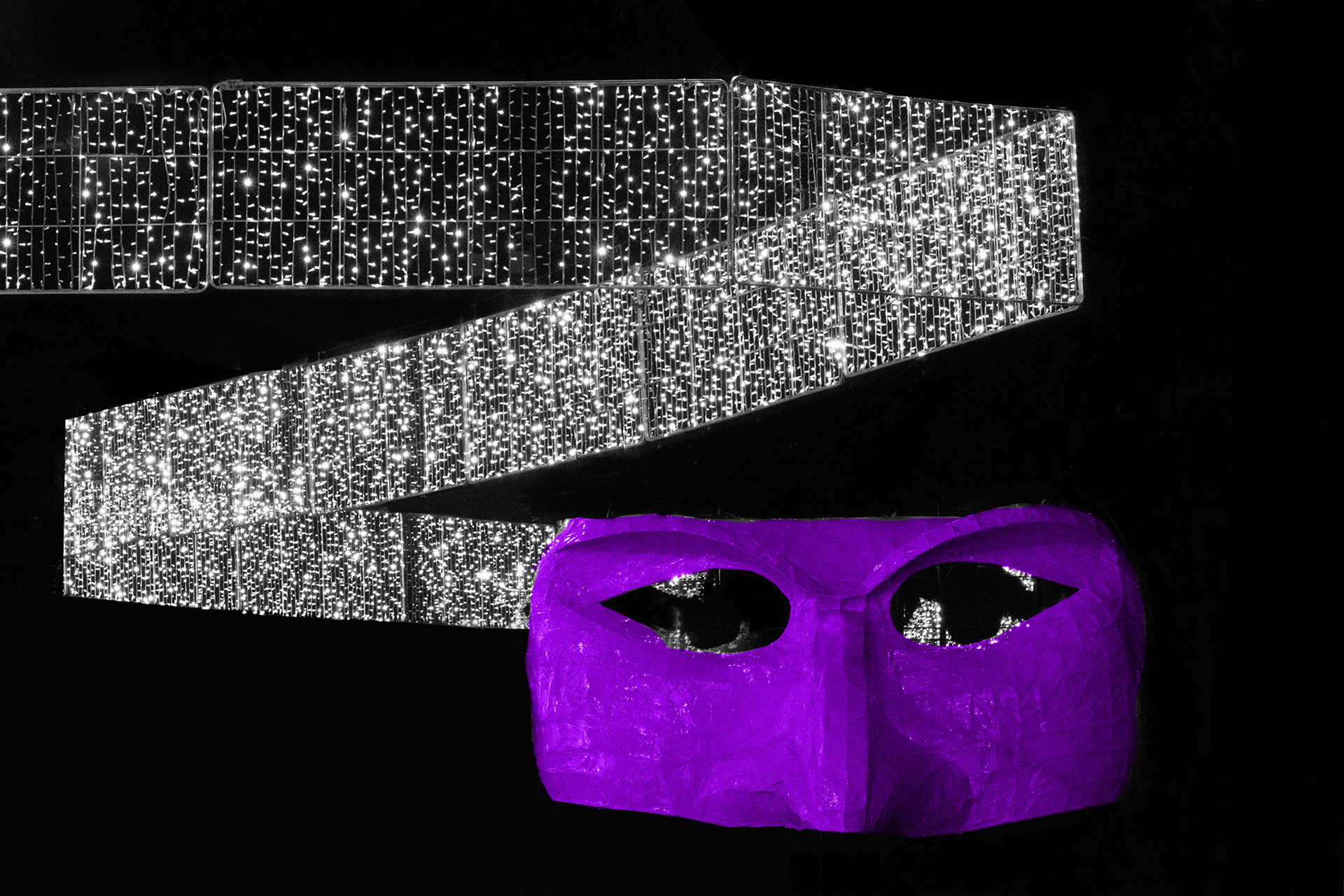 Rosa Colomé. MIRADA