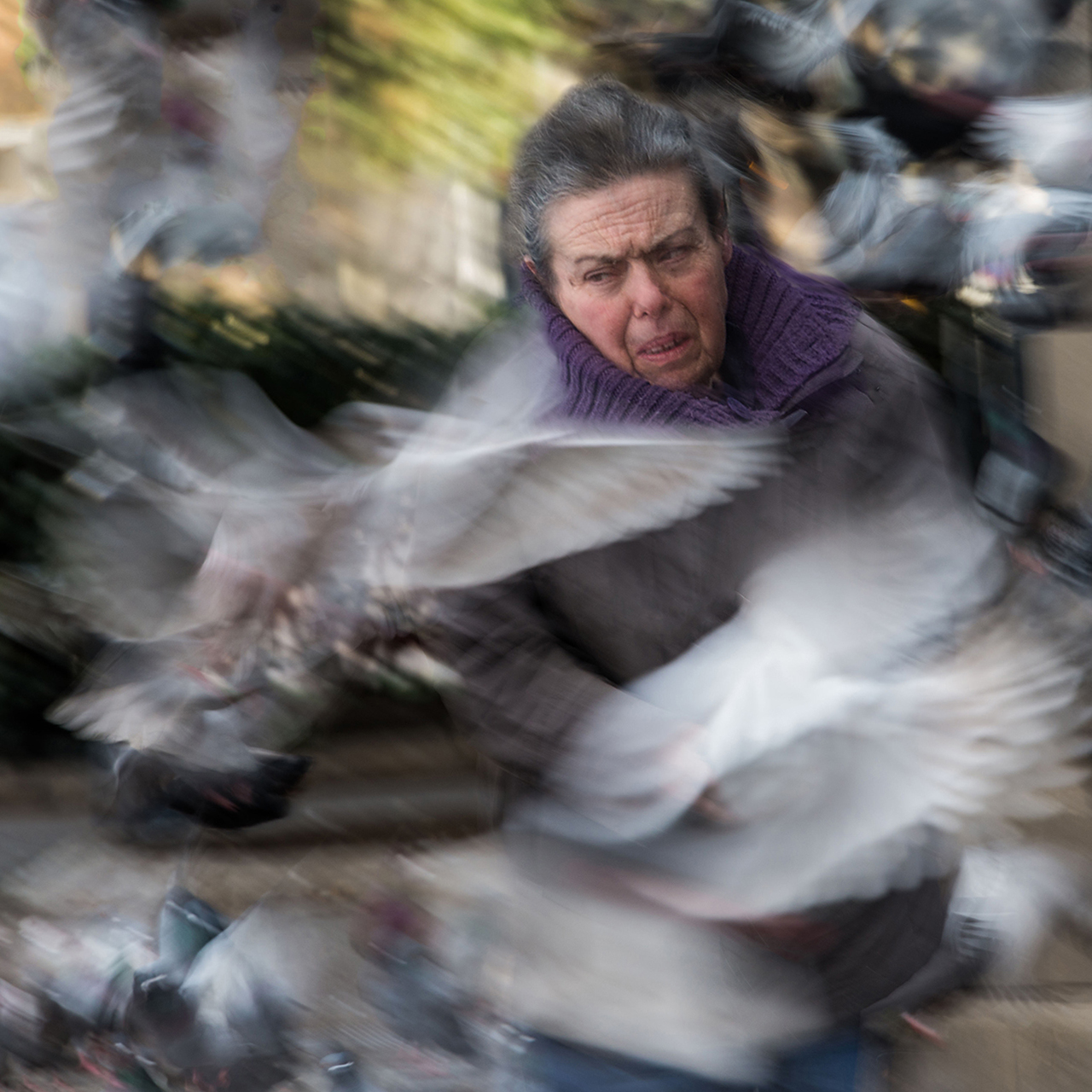 Antònio López. ALIMENTACIÓ