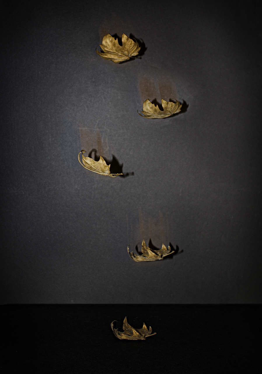 Miquel Calvet. TARDOR