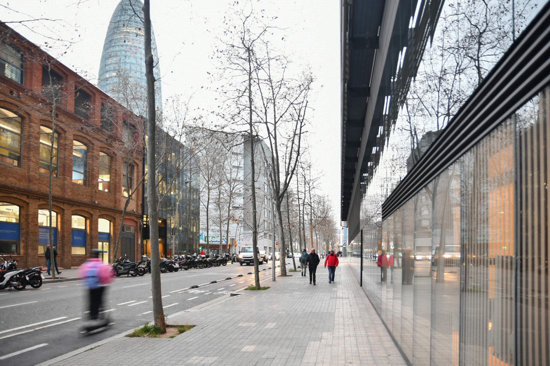 Jose Manuel Muriel. PATINETE