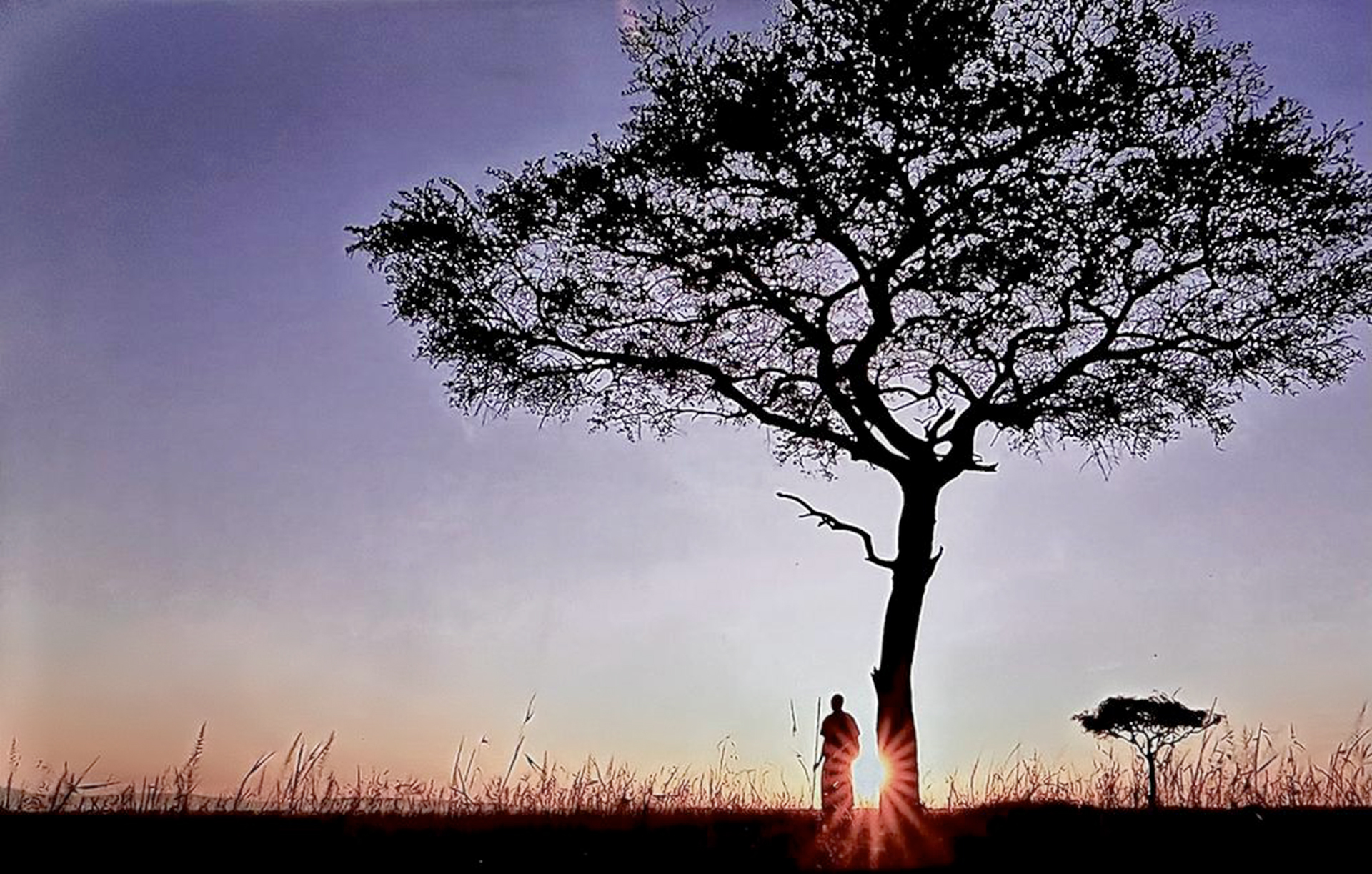 Josep Mòdol. SABANA