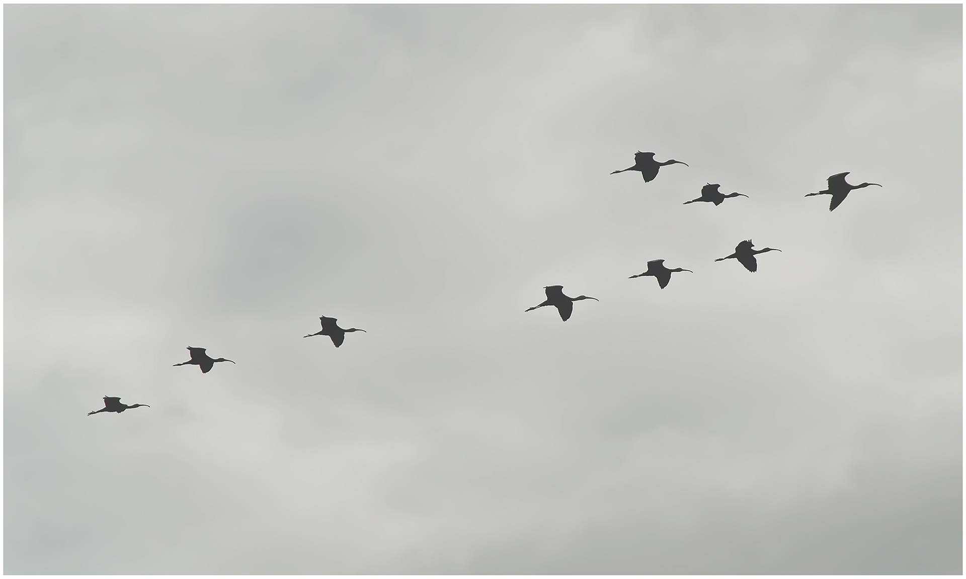 Enric Comellas. EN GRUP