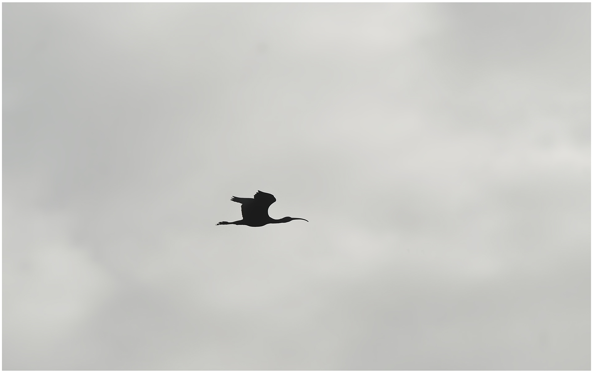 Enric Comellas. EN SOLITARI