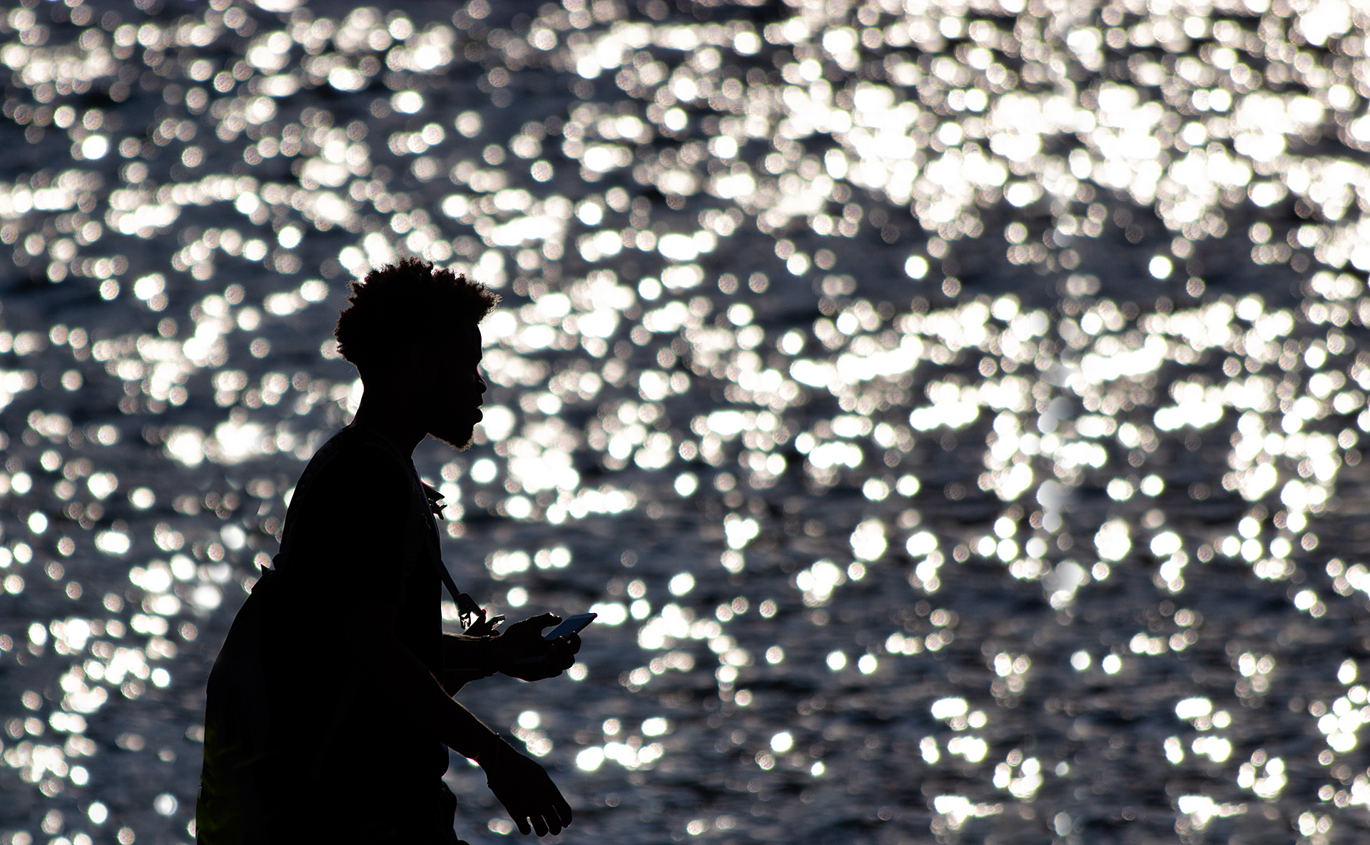 Joan Rosell. SILUETA SOBRE EL MAR